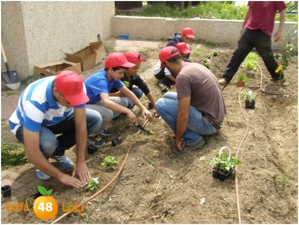 jamhierey lud0403 (4).jpg